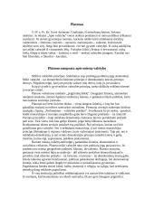 Valstybės samprata Platono ir Aristotelio veikaluose 3 puslapis