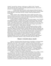 Valstybės samprata Platono ir Aristotelio veikaluose 5 puslapis