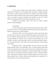 Vedybų sutarties sudarymas ir turinys 6 puslapis