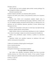 Veidinis nervas 3 puslapis