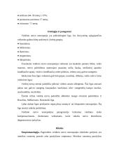 Veidinis nervas 4 puslapis