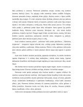 Veidinis nervas 5 puslapis