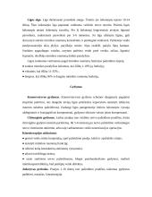 Veidinis nervas 6 puslapis