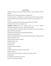 Veidinis nervas 7 puslapis