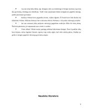 Vėlinės Lietuvoje 8 puslapis
