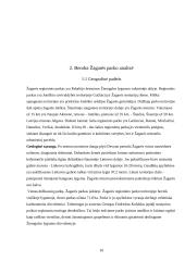 Žagarės parko dendrologinė analizė 6 puslapis