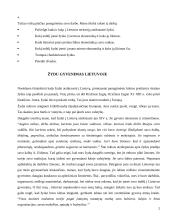 Žydų įtaka Lietuvos ekonominiam gyvenimui 3 puslapis