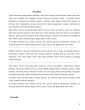 Žydų įtaka Lietuvos ekonominiam gyvenimui 7 puslapis