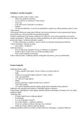 Elementarioji matematika: geometriniai vaizdiniai 3 puslapis