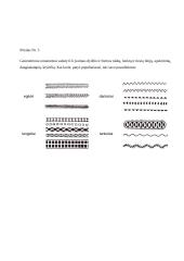 Elementarioji matematika: geometriniai vaizdiniai 10 puslapis