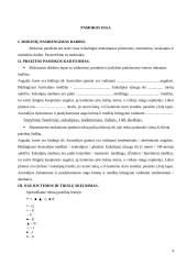 Geografijos pamokos išplėstinis planas: "Australijos gyvūnija" 4 puslapis
