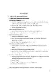 Individualus ugdymo planas 4 puslapis