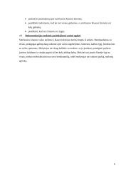 Individualus ugdymo planas 7 puslapis