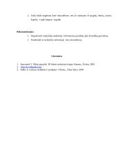 Lauko tyrimo praktikos planas: pasaulio pažinimas 4 puslapis