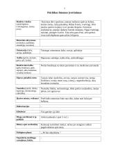 Ligos istorija:  paprastoji šizofrenija 4 puslapis