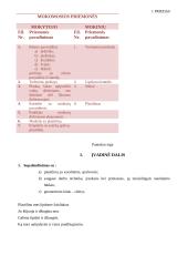 Pamokos planas nežymaus protinio atsilikimo vaikams: Ritinys 2 puslapis