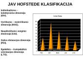 Valstybės apžvalga: Jungtinės Amerikos Valstijos 11 puslapis