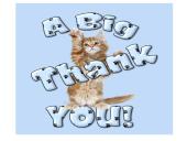 Valstybės apžvalga: Jungtinės Amerikos Valstijos 14 puslapis