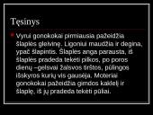 Lytiškai plintančios ligos bei jų rūšys 4 puslapis