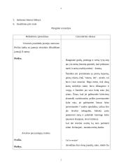 Renginio scenarijus: "Vestuvės" 2 puslapis