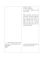 Renginio scenarijus: "Vestuvės" 13 puslapis