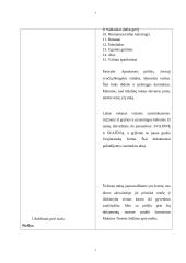 Renginio scenarijus: "Vestuvės" 7 puslapis