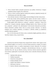 Stresas ir jo įveikimas 2 puslapis