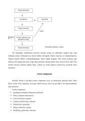 Stresas ir jo įveikimas 4 puslapis