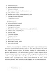 Stresas ir jo įveikimas 5 puslapis