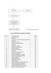 Stresas ir jo įveikimas 6 puslapis