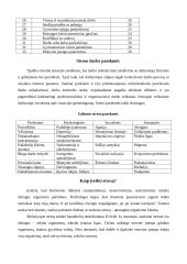 Stresas ir jo įveikimas 7 puslapis