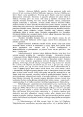 Babilono miestas 3 puslapis