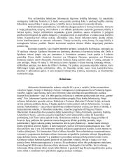 Graikų architektūra 4 puslapis