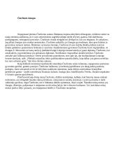 M. K. Čiurlionio gyvenimo ir kūrybos bruožai 4 puslapis