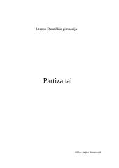 Požiūris į partizanus 
