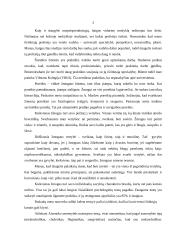 Moksleivio savianalizė 3 puslapis