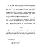 Slaptoji lietuvių spauda 4 puslapis