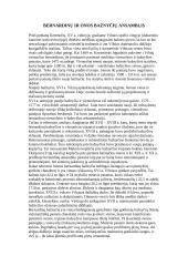 Šv. Petro ir Povilo bažnyčia 4 puslapis