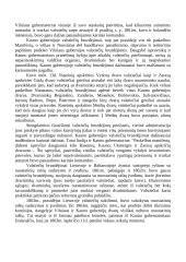 1863 metų sukilimas 6 puslapis
