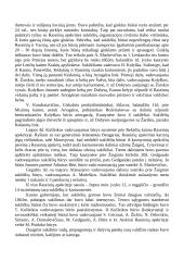 1863 metų sukilimas 9 puslapis