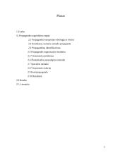 A. Hitlerio propagandos prieš žydų tautą nagrinėjimas 2 puslapis