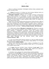 Abortų psichologinė ir fiziologinė žala 4 puslapis