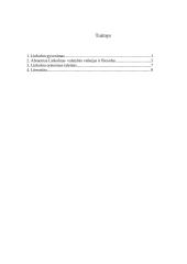 Abraomas Linkolnas 11 puslapis