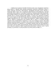 Abraomas Linkolnas 4 puslapis