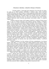Abraomas Linkolnas 5 puslapis