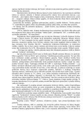 Adolfas Hitleris ir Trečiasis Reichas 11 puslapis