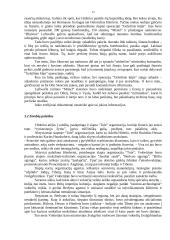 Adolfas Hitleris ir Trečiasis Reichas 12 puslapis