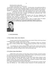 Adolfas Hitleris ir Trečiasis Reichas 16 puslapis