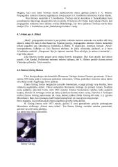 Adolfas Hitleris ir Trečiasis Reichas 19 puslapis