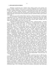 Adolfas Hitleris ir Trečiasis Reichas 20 puslapis